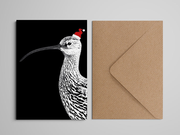 Christmas Card - Curlew - Large - A5