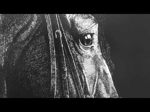 Horse 01