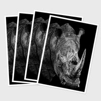 Postcard - Rhino (Pack of 4)
