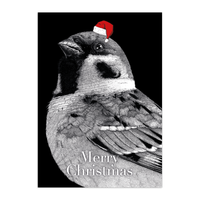 Christmas Card - Tree Sparrow - Small - A6